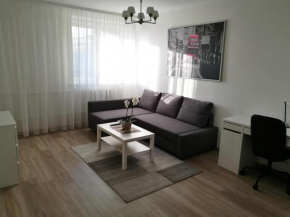 Vilnius Town Apartment Vilnius